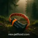 Collier GPS Track...