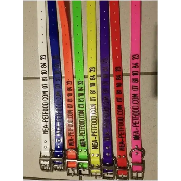 Collier pour chien personnalisé gravé solide US 24 mm 9,99&nbsp;€