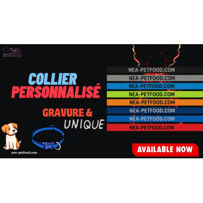 Collier pour chien personnalisé gravé solide US 24 mm Collier pour chien personnalisé gravé solide US 24 mm