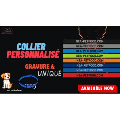 Collier pour chien personnalisé gravé solide US 24 mm