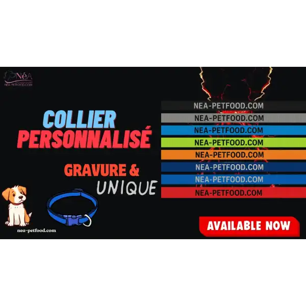 Collier pour chien personnalisé gravé solide US 24 mm