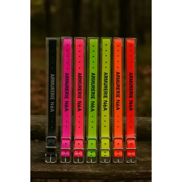 Collier pour chien personnalisé gravé solide US 24 mm