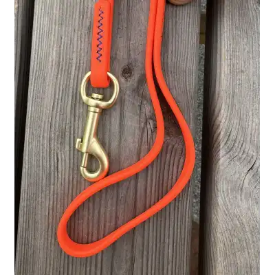 Longe chien 10m pour faire le pied au sanglier LIV OFFERTE