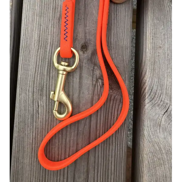 Longe chien 10m pour faire le pied au sanglier LIV OFFERTE