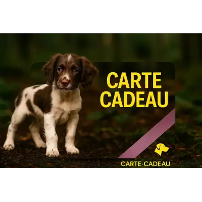 Carte cadeau