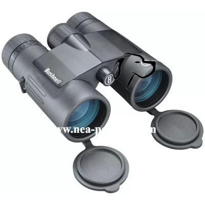 Jumelles Bushnell Prime 10×42 : Performances correctes et ergonomie excellente