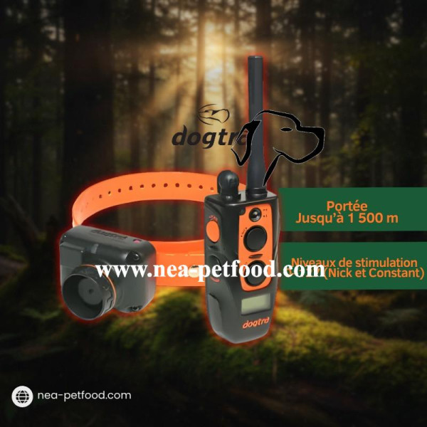 2600 T&B DOGTRA ideal pour chien bécassier LIVRAISON OFFERTE