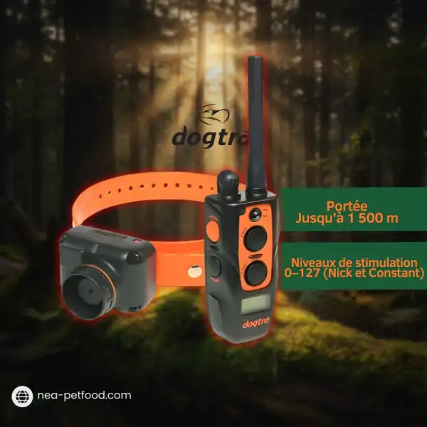 2600 T&B DOGTRA ideal pour chien bécassier LIVRAISON OFFERTE