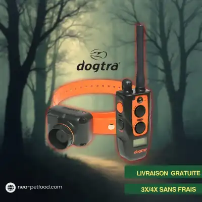 2600 T&B DOGTRA ideal pour...