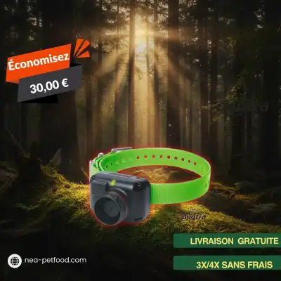Dogtra Collier supplémentaire 2600 T&B pour chien bécassier