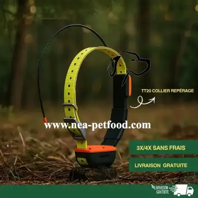 TT20 collier repérage