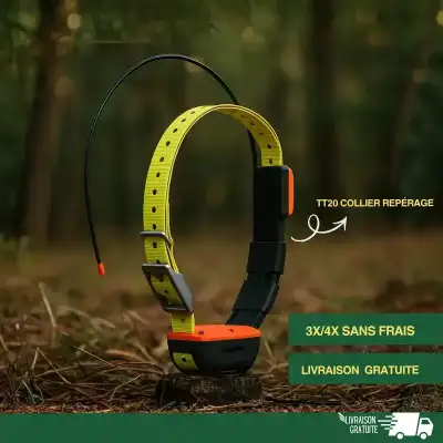 TT20 collier repérage