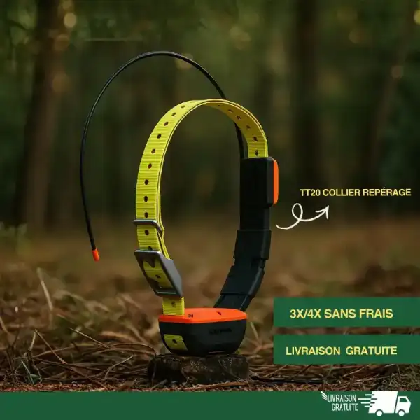 TT20 collier repérage