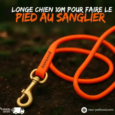 Longe plate chien 10m pour faire le pied au sanglier robuste