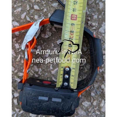 Collier GPS Repérage et Dressage additionnel pour centrale eSEEK
