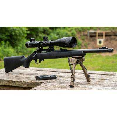 Carabine Rossi 8122 Calibre 22 LR - Achat au meilleur prix