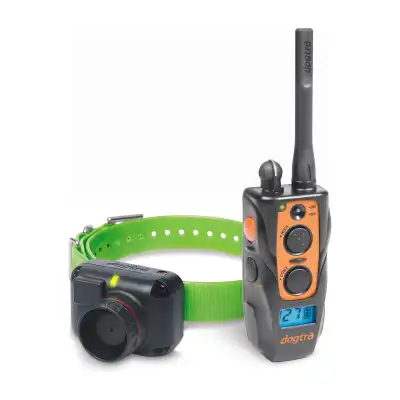 Dogtra 2600 T&B : collier supplémentaire pour deuxième chien bécassier