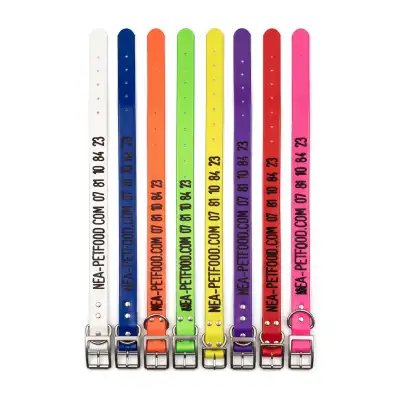 Collier chien gravé US 24 mm, personnalisé avec nom et téléphone, boucle métal