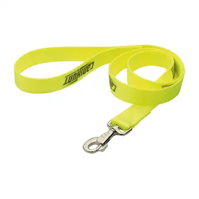 Laisse CaniHunt simple plate en polyester, 120 cm, 30 mm de large