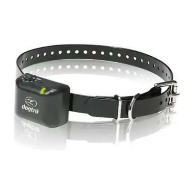 Dogtra YS300 : collier anti-aboiement rechargeable pour chiens dès 5 kg
