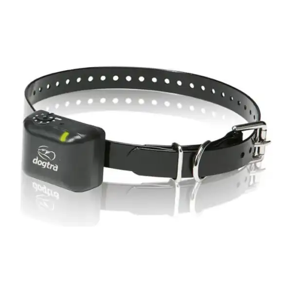 Dogtra YS300 : collier anti-aboiement rechargeable pour chiens dès 5 kg