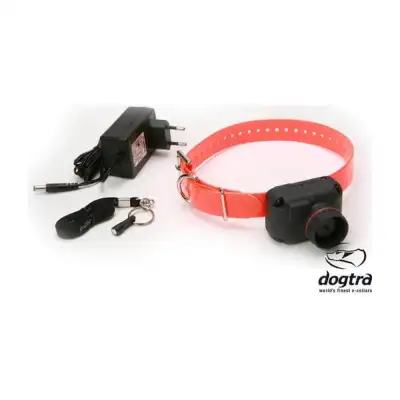 Collier beeper Dogtra StB Hawk H, bip aigu et cri du faucon