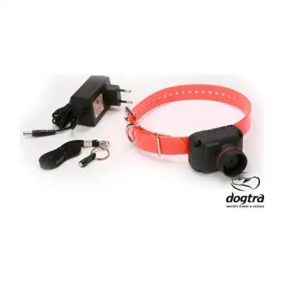 Beeper chien d'arrêt Dogtra StB Hawk L : bip grave et cri du faucon