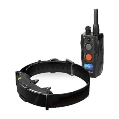 Collier de dressage Dogtra ARC 800 (1 chien) / ARC 802 (2 chiens)