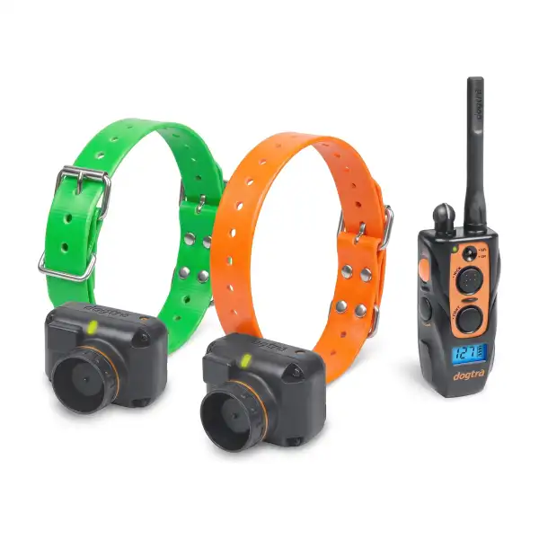 Dogtra 2602 T&B : collier de repérage sonore (beeper) et de dressage, 2 chiens