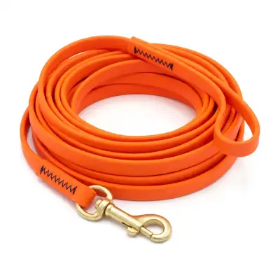 Longe plate chien 10m pour faire le pied au sanglier LIV OFFERTE