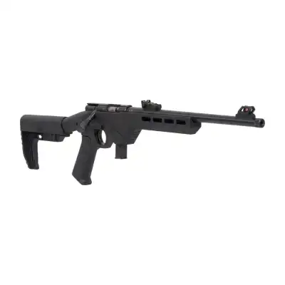 Carabine Citadel Trakr 22LR à verrou avec 1 chargeur