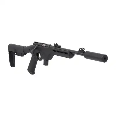 Carabine Citadel Trakr 22 LR à verrou avec chargeur et modérateur de son