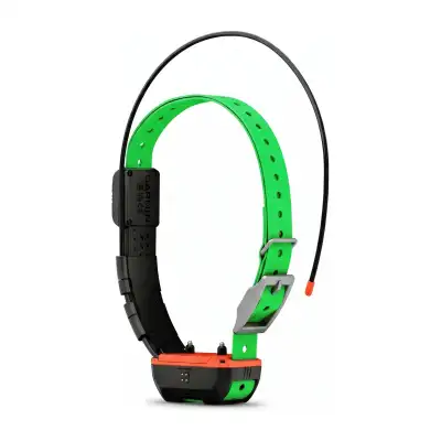 Collier Garmin Alpha TT 25 : repérage GPS et dressage pour chiens de chasse