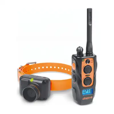 Dogtra 2600 T&B : collier de dressage et beeper pour chien d'arrêt, 1 collier