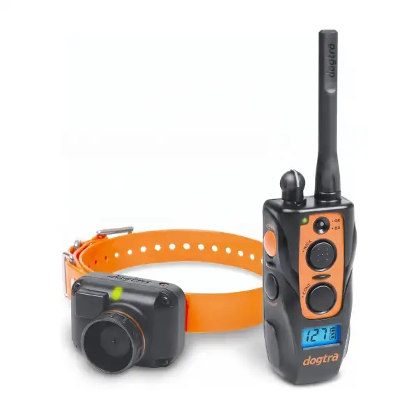 Dogtra 2600 T&B : collier de dressage et beeper pour chien d'arrêt, 1 collier