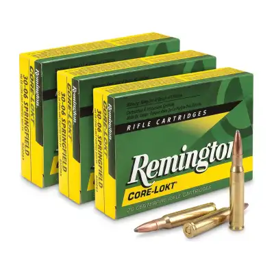 Remington Core-Lokt 30-06 Springfield PSP 180 grains, lot de 3 boîtes de 20 cartouches