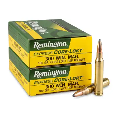 Remington Core-Lokt PSP .300 Win Mag 180 gr, lot de 2 boîtes de 20
