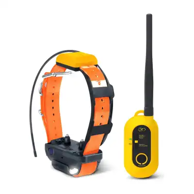 Dogtra Pathfinder 2 : connecteur GPS + collier GPS et dressage (pilotage smartphone)