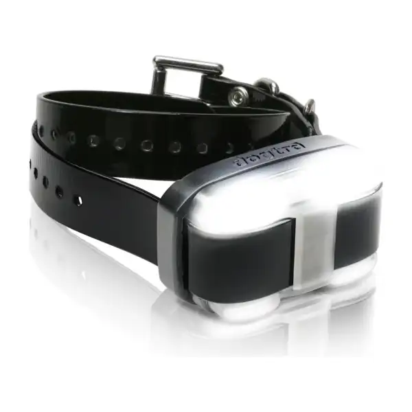 Dogtra 4500 Edge : collier de dressage supplémentaire (récepteur avec sangle)