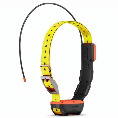 Collier de repérage Garmin TT20