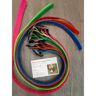 Collier / Sangle TT15 MINI T5 MINI DOGTRA MINI Collier / Sangle TT15 MINI T5 MINI DOGTRA MINI