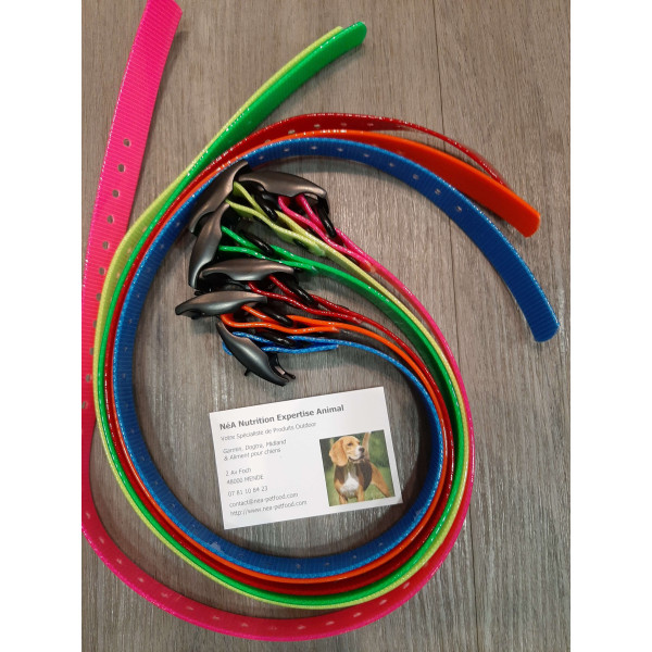 Collier / Sangle TT15 MINI T5 MINI DOGTRA MINI