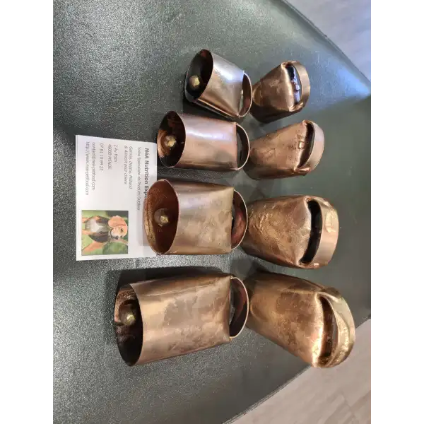 SONNAILLON PICON LAITON 4CM