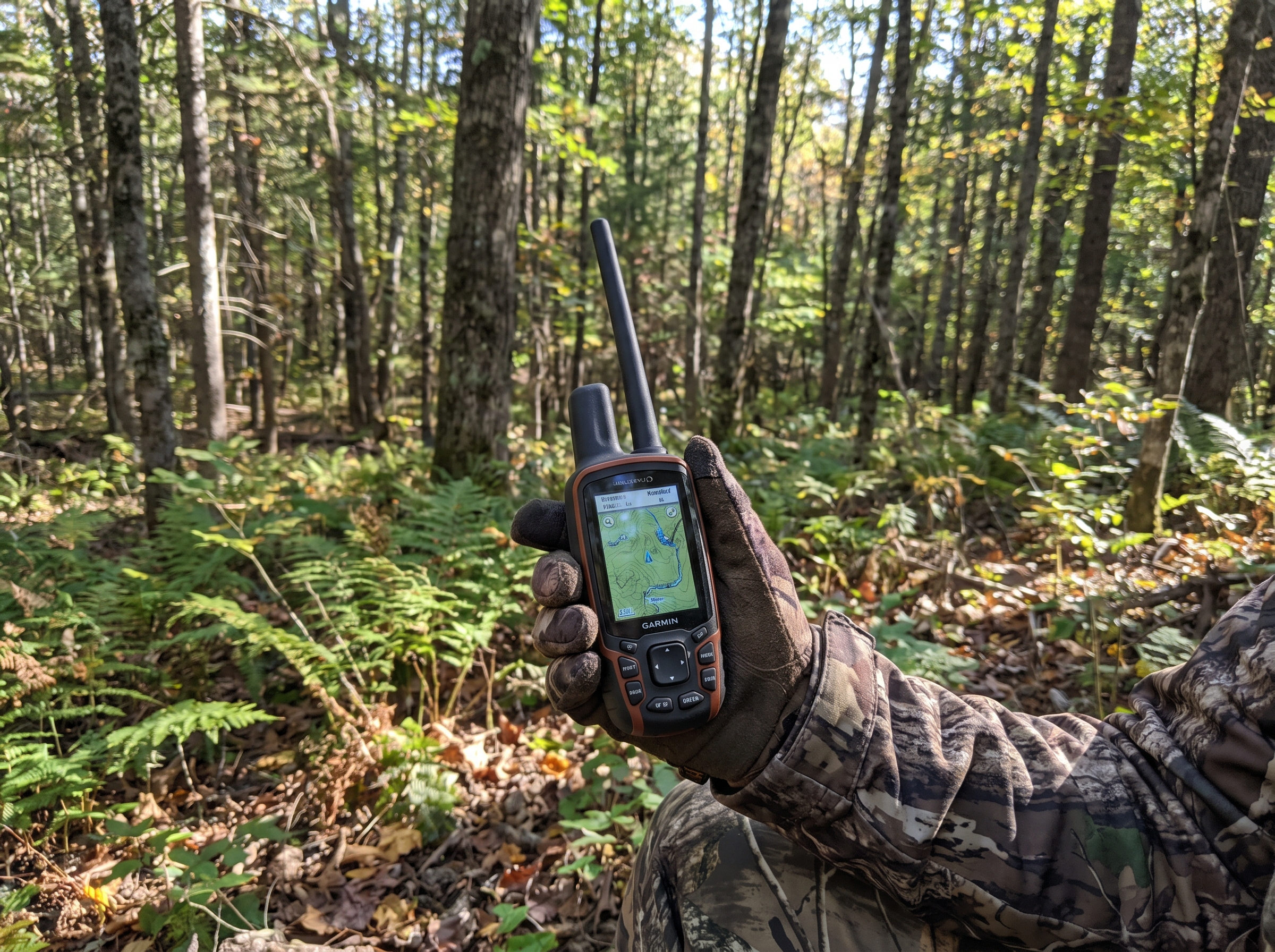 Boîtier de repérage GPS type Garmin Alpha utilisé en forêt