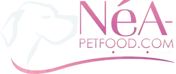 Logo Armurerie NéA