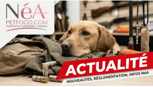 Actualités