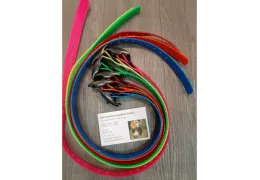 Collier GPS pour chien de chasse : suivi, contrôle et sécurité en action