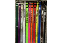 Le Collier Personnalisé Gravé Solide US 24 mm : L'Identification Durable et Essentielle pour Votre Chien