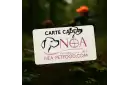 Cordon Nettoyage Carabine : Guide Expert pour un Entretien Optimal