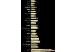 Tous les calibres de balles : guide complet pour bien choisir vos munitions